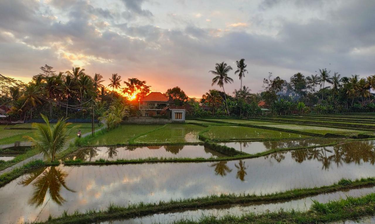 Umah Bali Villa Ubud Exterior foto