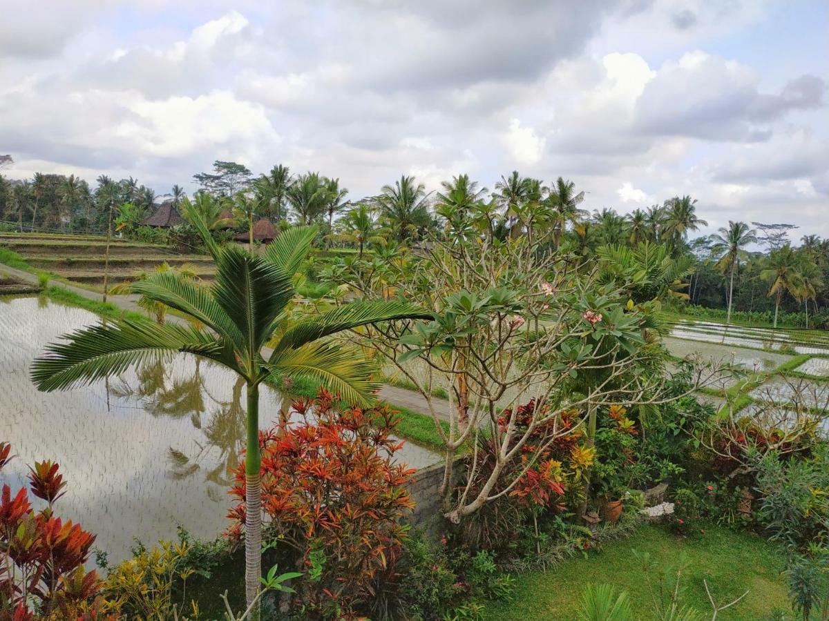 Umah Bali Villa Ubud Exterior foto